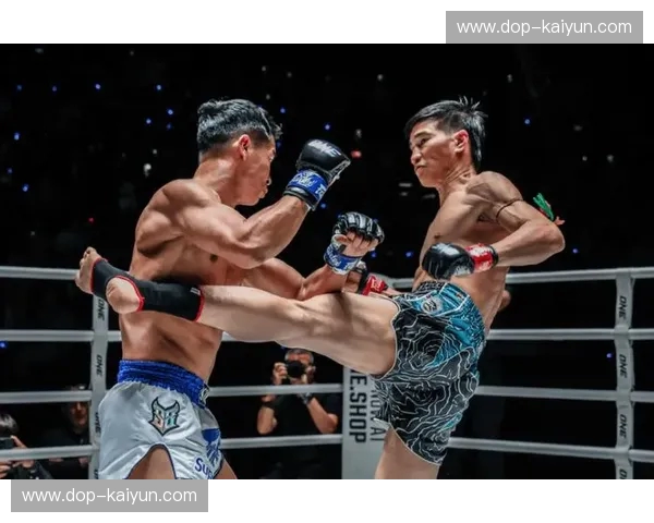 泰拳转会：格斗新时代的力量与机会